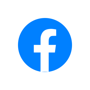 FACEBOOK FOLLOWERS 100 (NONDROP)