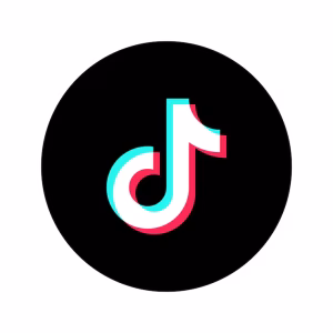 TIKTOK FOLLOWERS 100 (NONDROP)
